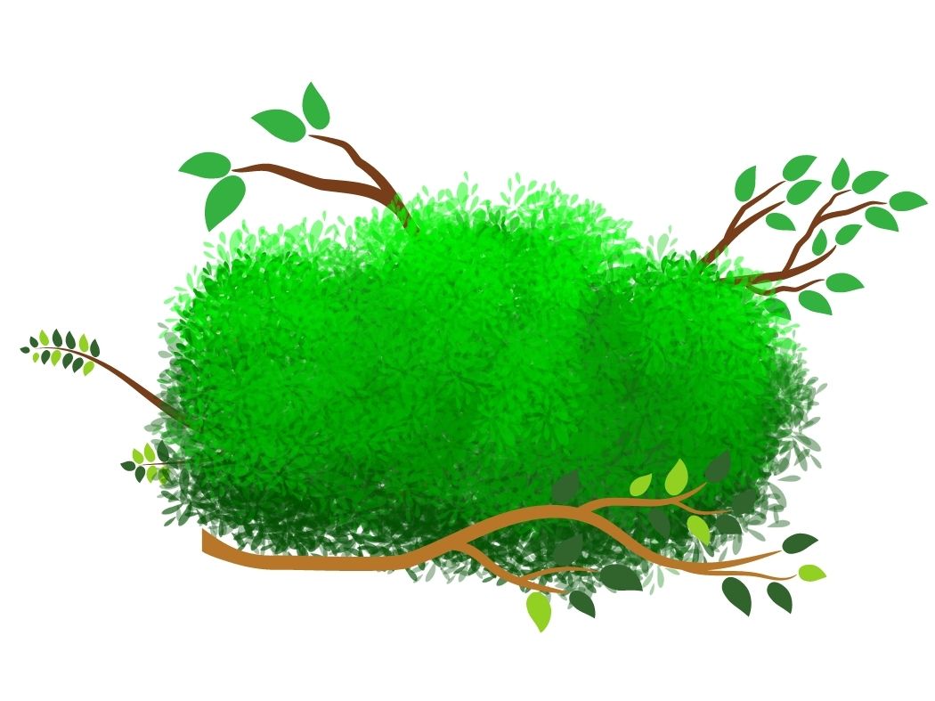 Affordable Garden Waste Removal From £49.99