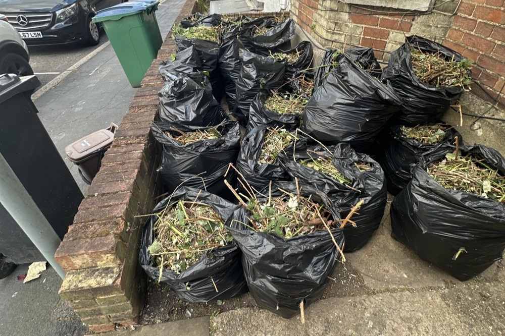 green garden waste