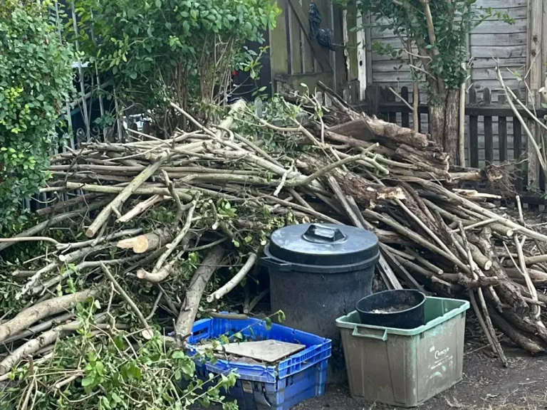 Pile of cut branches and garden waste in a Wood Green back garden, ready for clearance